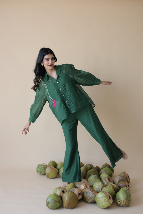 Amazon Forest Coord Set